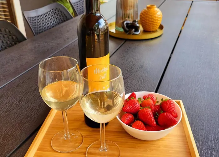 Ventura Mobile * Biograd Na Moru